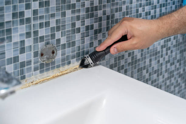 Best Home Mold Removal  in Meadowbrook, VA